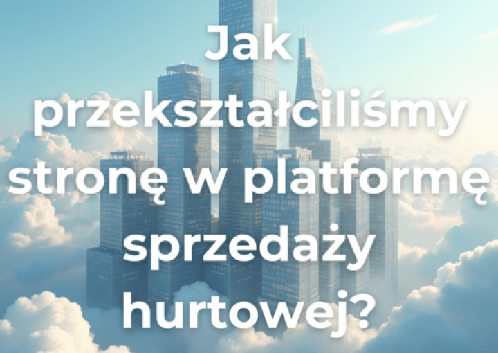 Jak przekształciliśmy stronę w platformę sprzedaży hurtowej