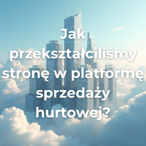 Jak przekształciliśmy stronę w platformę sprzedaży hurtowej